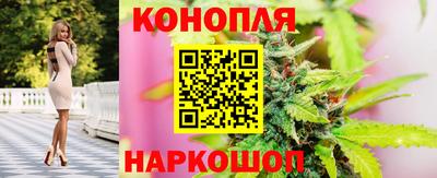 спиды Брянск