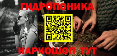 спиды Брянск