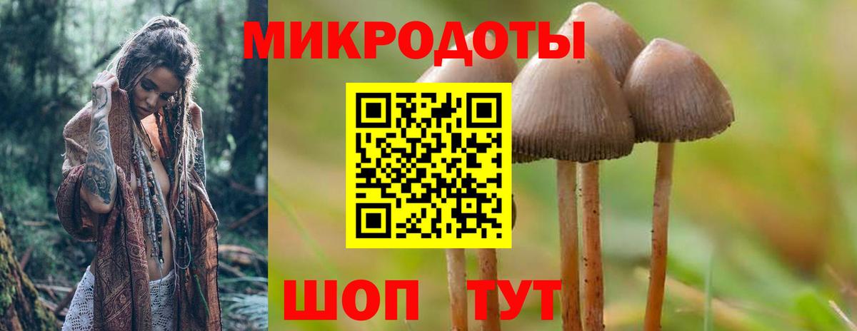 Псилоцибиновые грибы прущие грибы  Вход с VPN  Северобайкальск 
